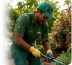 Gardening
